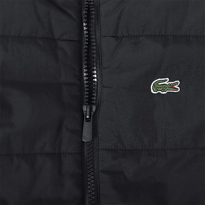 Lacoste ラコステ バックロゴグラフィック キルティング パフジャケット BJ9736L 黒 中綿 キッズ
