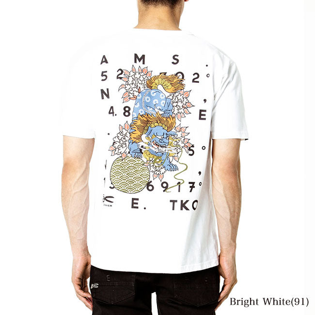 DENHAM デンハム バックプリントTシャツ LIONS DENHAM TEE HCJ 半袖Tシャツ (メンズ)