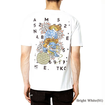 DENHAM デンハム バックプリントTシャツ LIONS DENHAM TEE HCJ 半袖Tシャツ (メンズ)