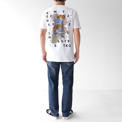 DENHAM デンハム バックプリントTシャツ LIONS DENHAM TEE HCJ 半袖Tシャツ (メンズ)